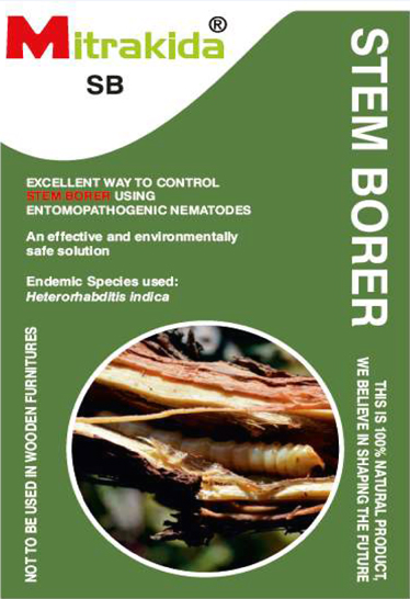 stem-borer-khodkida-infection-control-management1